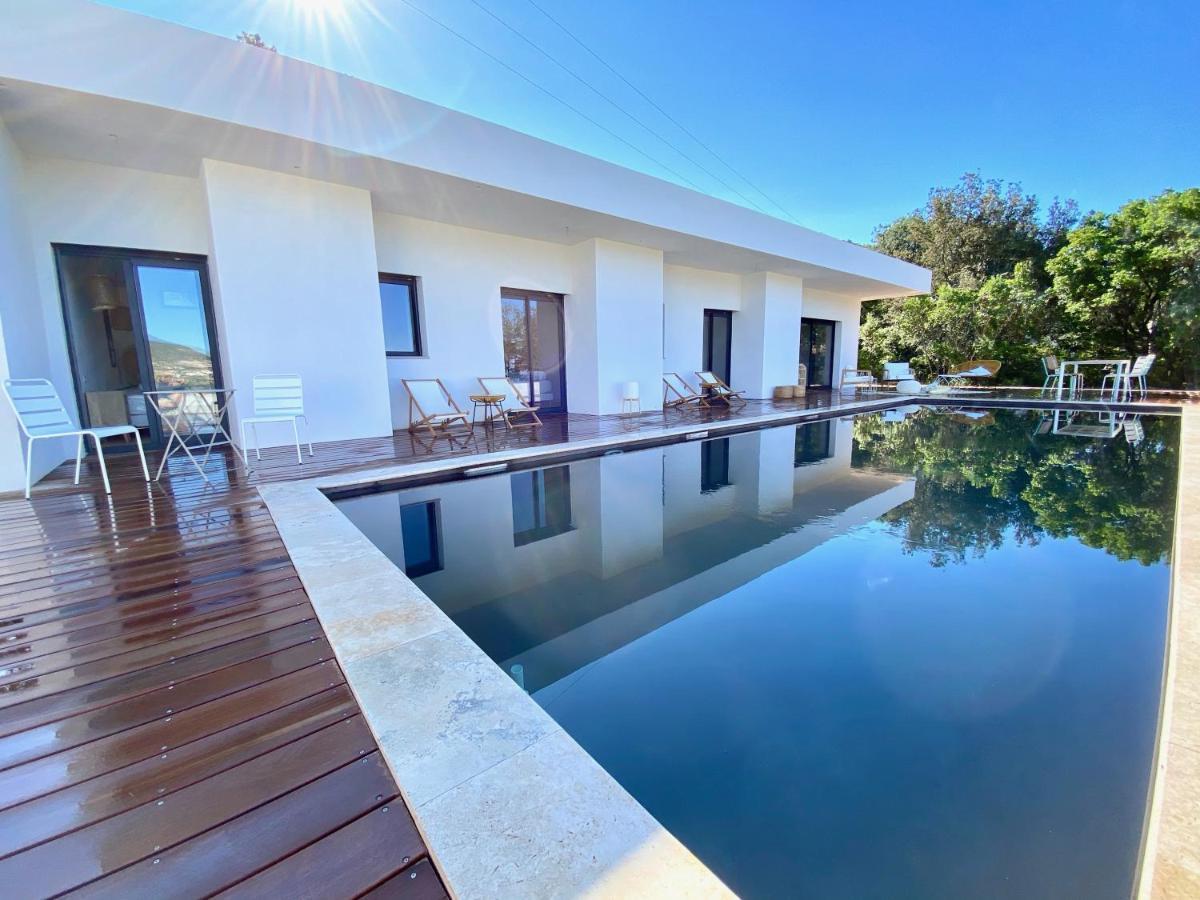 Villas De Standing Avec Magnifique Vue Mer Et Piscines Privees, Sagone 사공 외부 사진